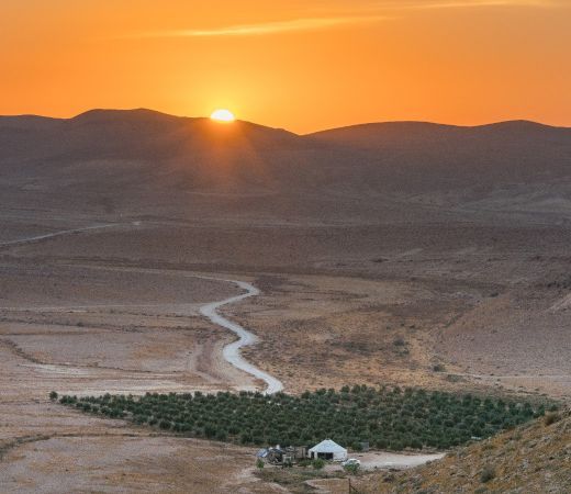 תמונה של חוות משכית: קמפינג רגוע במצפה רמון - למטייל בישראל (טיולי)